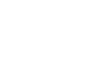 Official Selection, Calgary International Film Festival 2019 Award laurel: Official Selection, Calgary International Film Festival 2019
